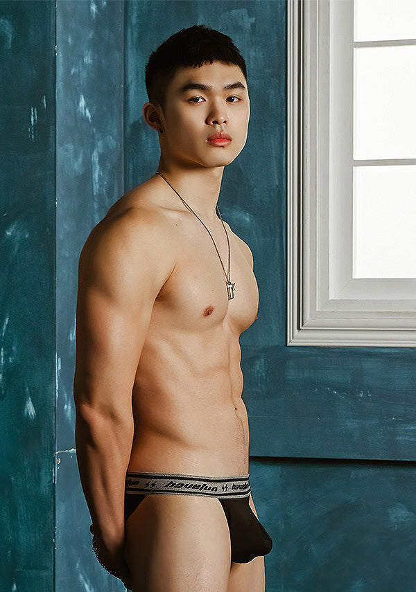 "HaveFun" microfiber bikini briefs (black, white, blue, green)