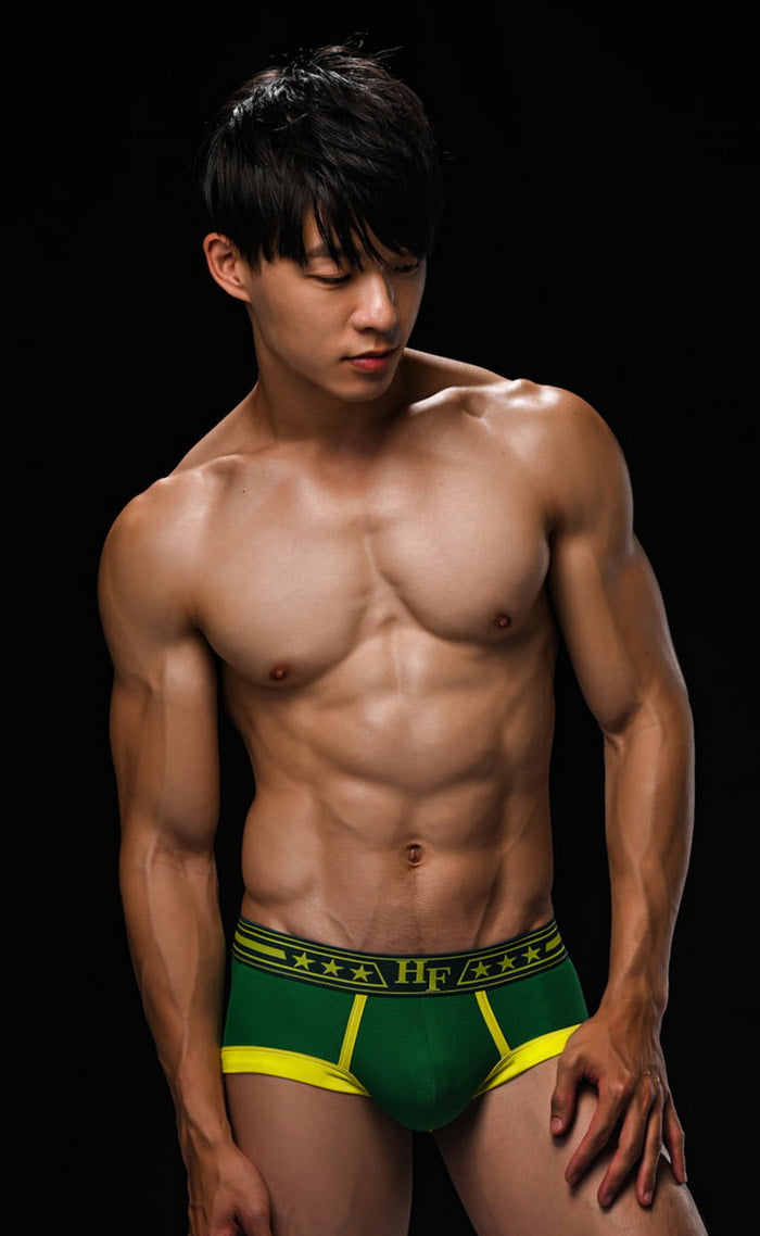 "HaveFun" dense mesh boxer briefs-(green, white)